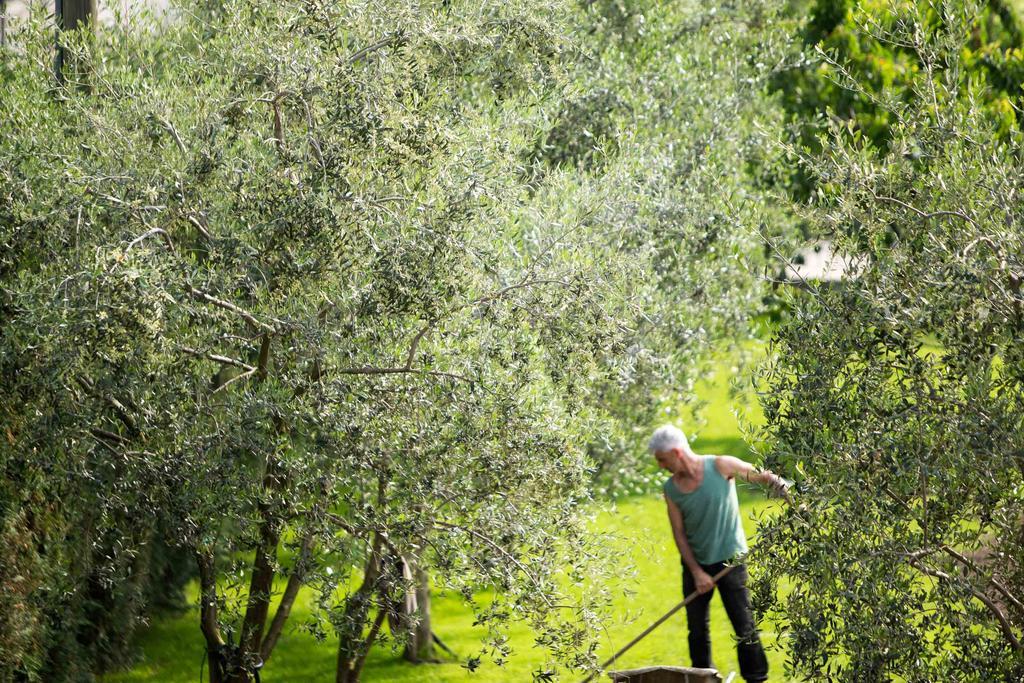 Agriturismo Vin E Amor Дро Екстериор снимка